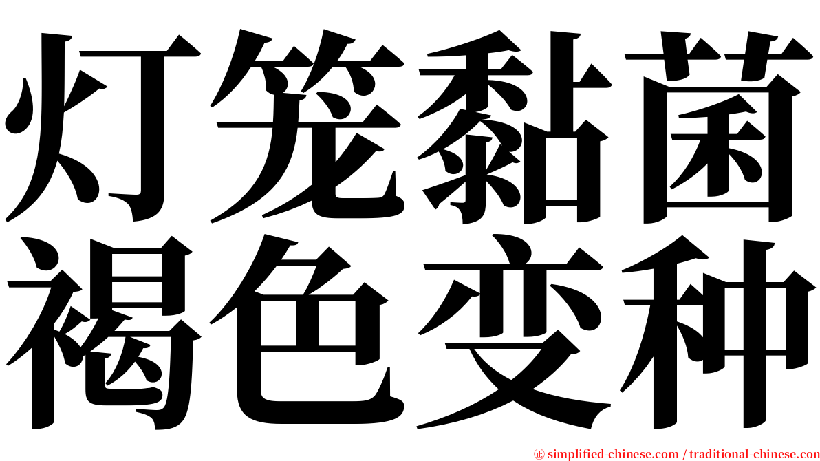 灯笼黏菌褐色变种 serif font