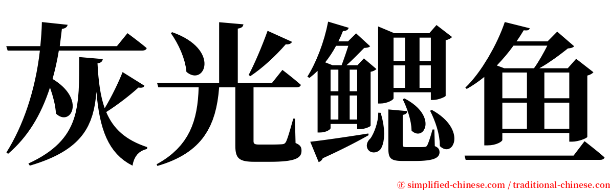 灰光鳃鱼 serif font