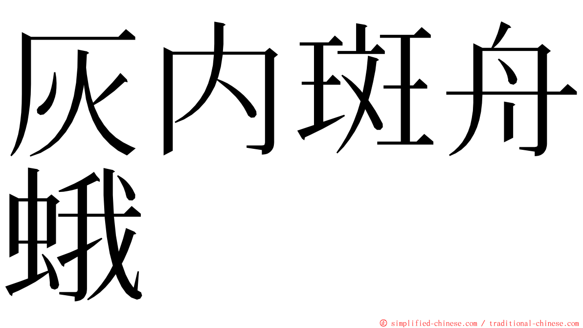 灰内斑舟蛾 ming font