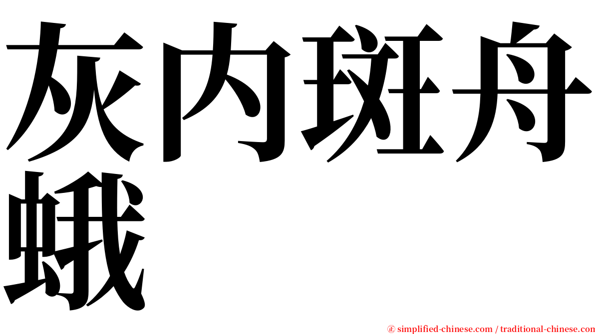 灰内斑舟蛾 serif font