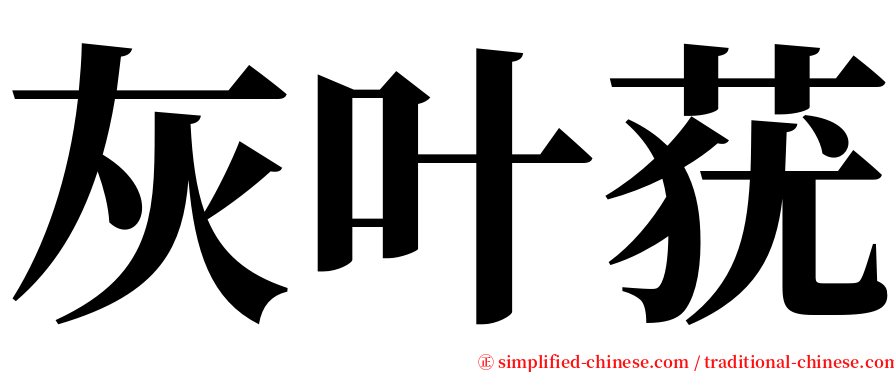 灰叶莸 serif font