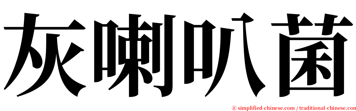 灰喇叭菌 serif font