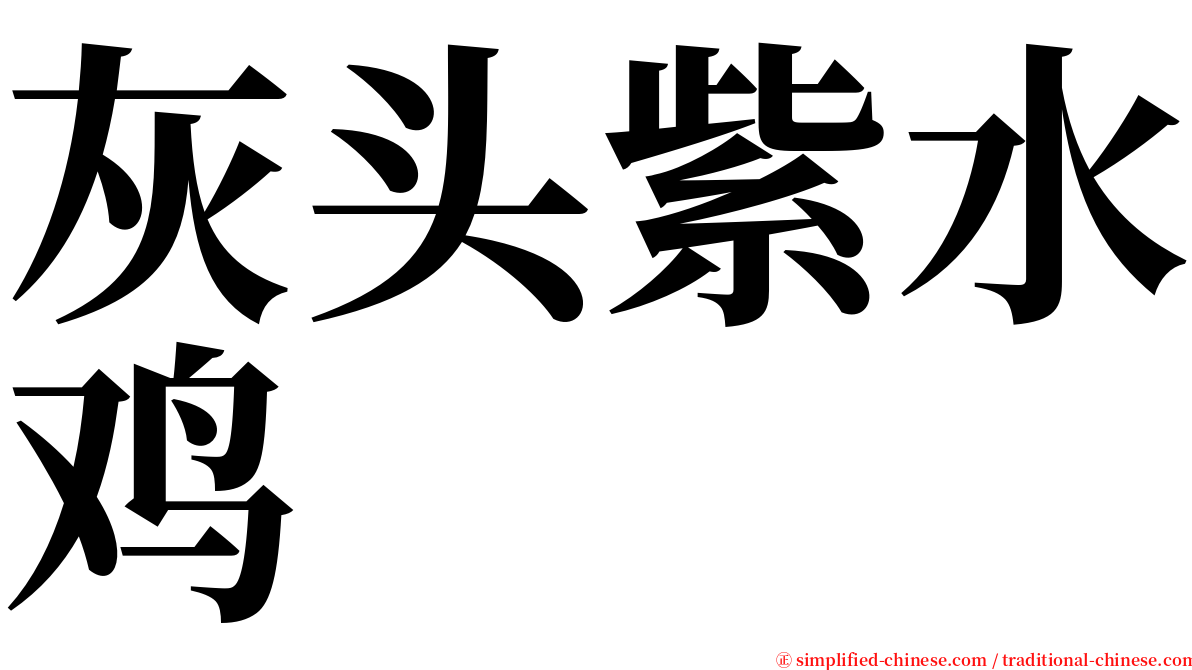 灰头紫水鸡 serif font