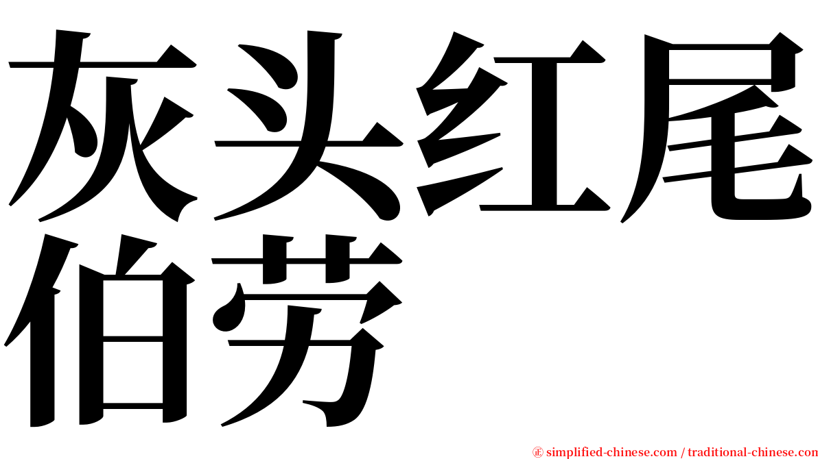 灰头红尾伯劳 serif font