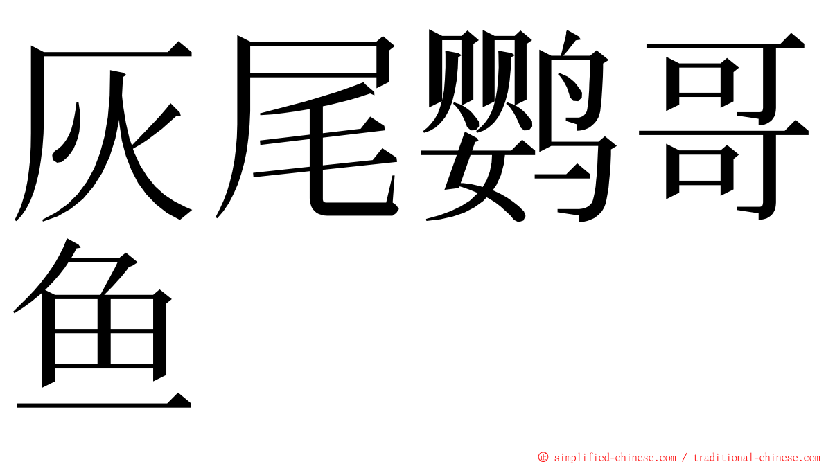 灰尾鹦哥鱼 ming font