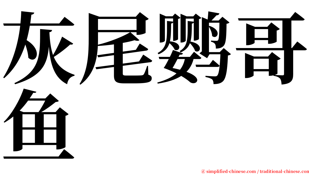 灰尾鹦哥鱼 serif font