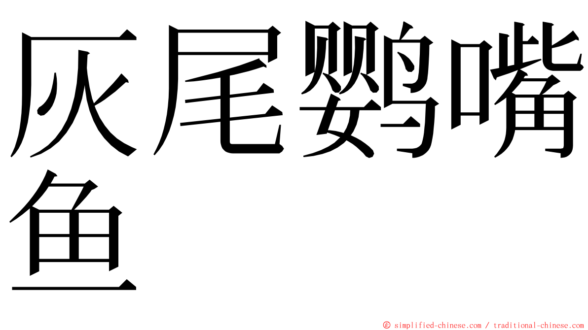 灰尾鹦嘴鱼 ming font