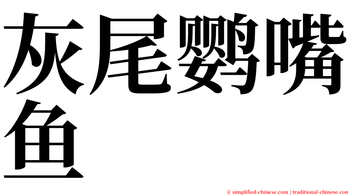 灰尾鹦嘴鱼 serif font