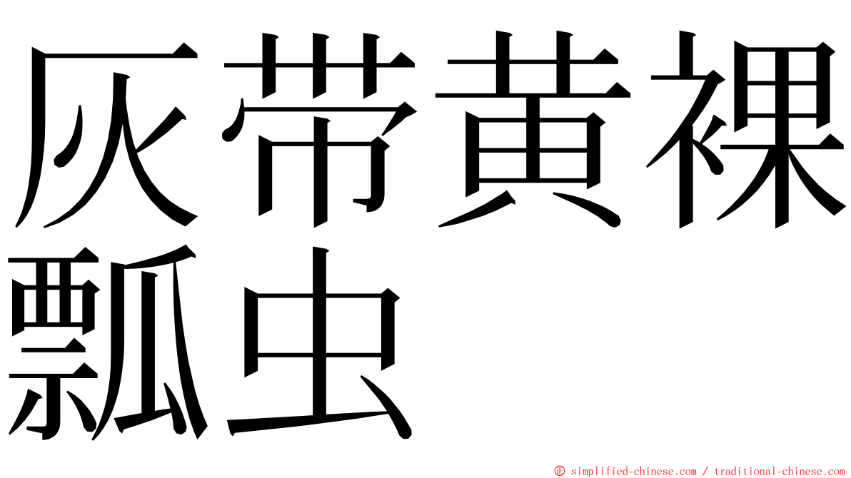 灰带黄裸瓢虫 ming font