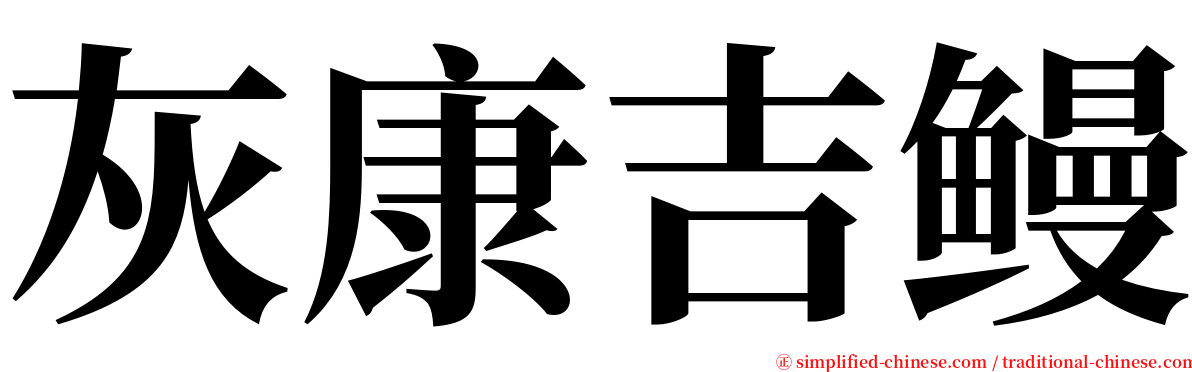 灰康吉鳗 serif font