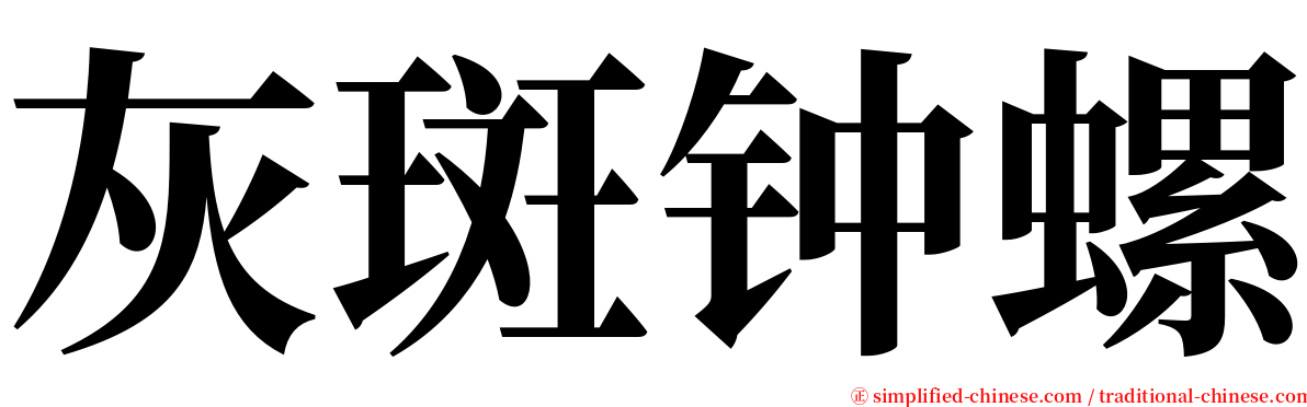 灰斑钟螺 serif font