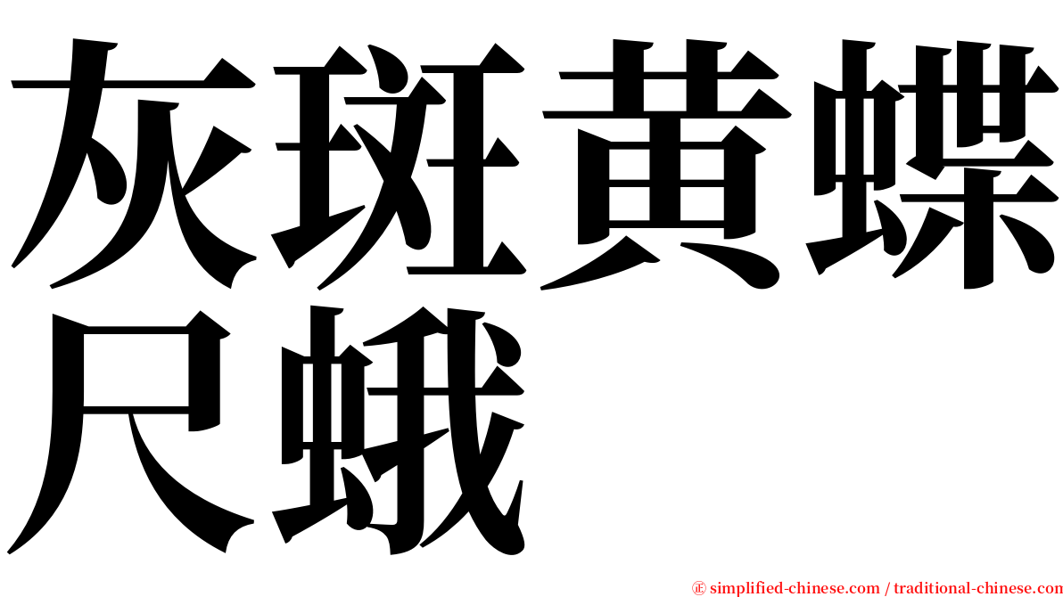 灰斑黄蝶尺蛾 serif font