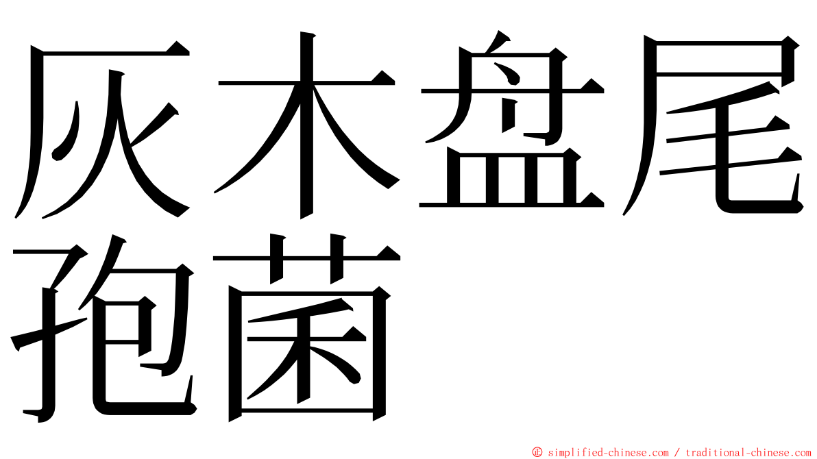 灰木盘尾孢菌 ming font
