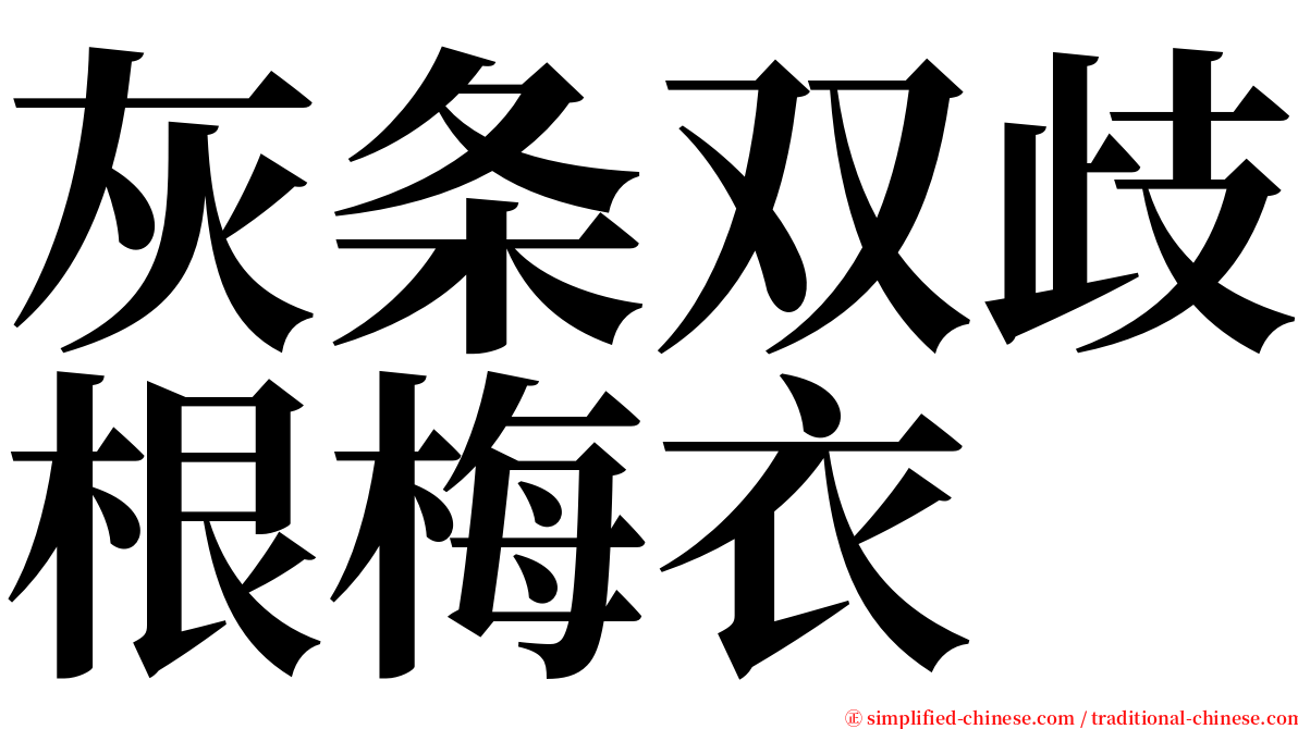 灰条双歧根梅衣 serif font