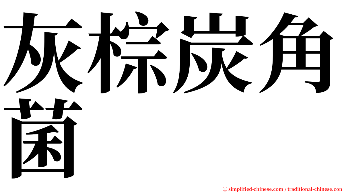 灰棕炭角菌 serif font