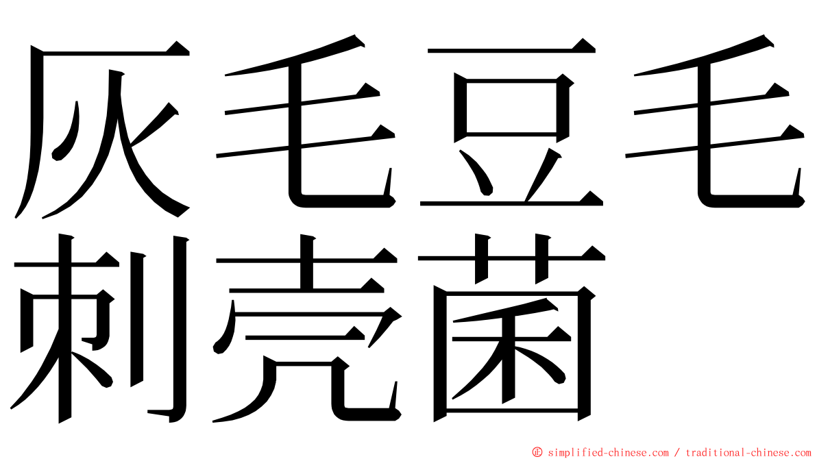 灰毛豆毛刺壳菌 ming font