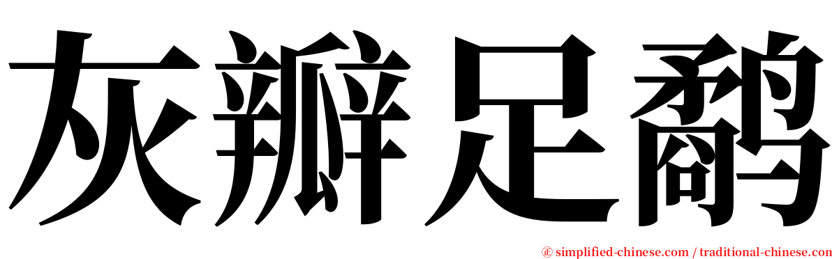 灰瓣足鹬 serif font