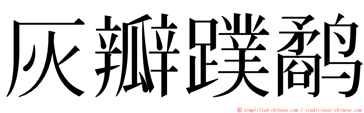 灰瓣蹼鹬 ming font