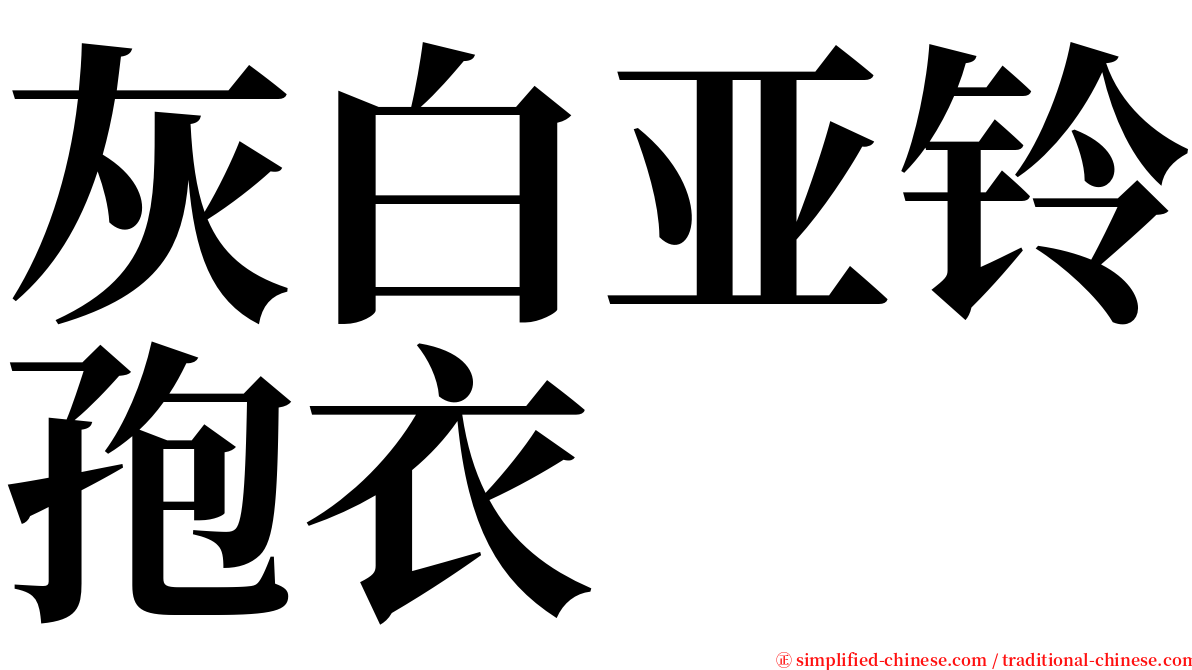 灰白亚铃孢衣 serif font