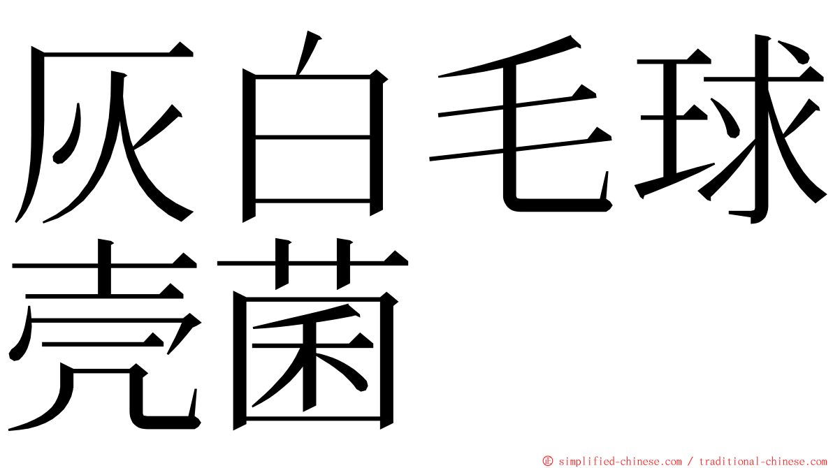 灰白毛球壳菌 ming font