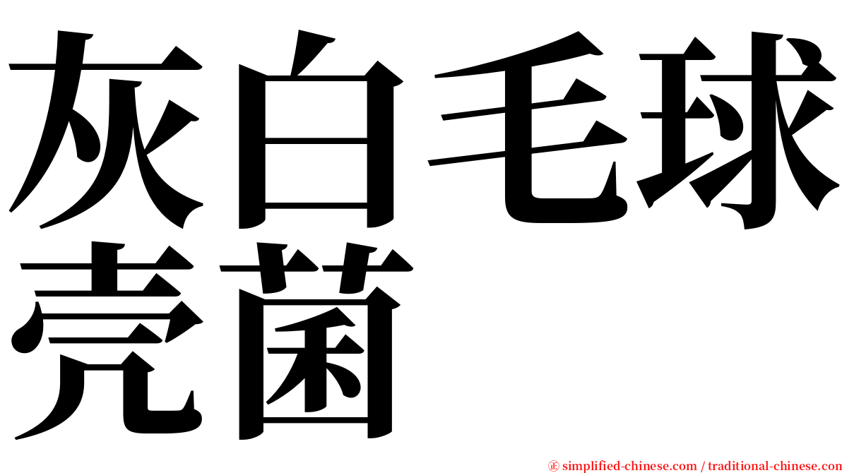 灰白毛球壳菌 serif font