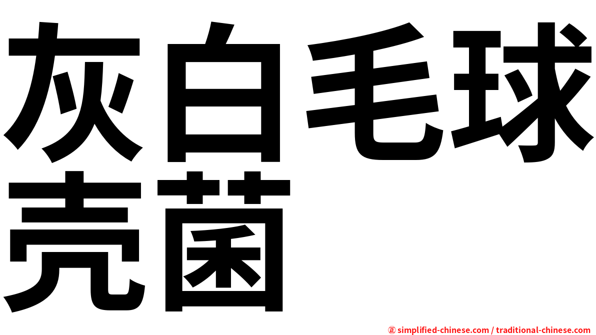 灰白毛球壳菌