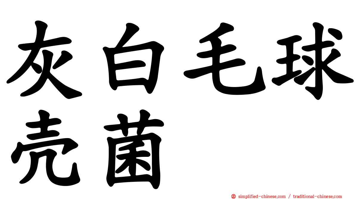 灰白毛球壳菌
