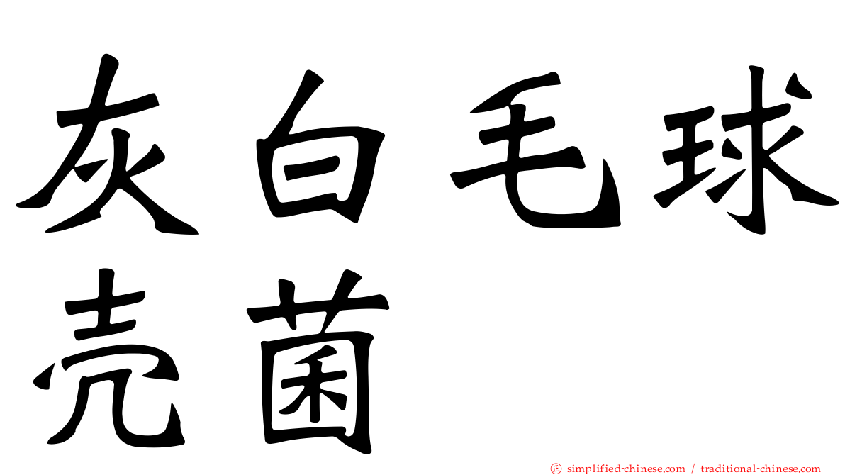 灰白毛球壳菌
