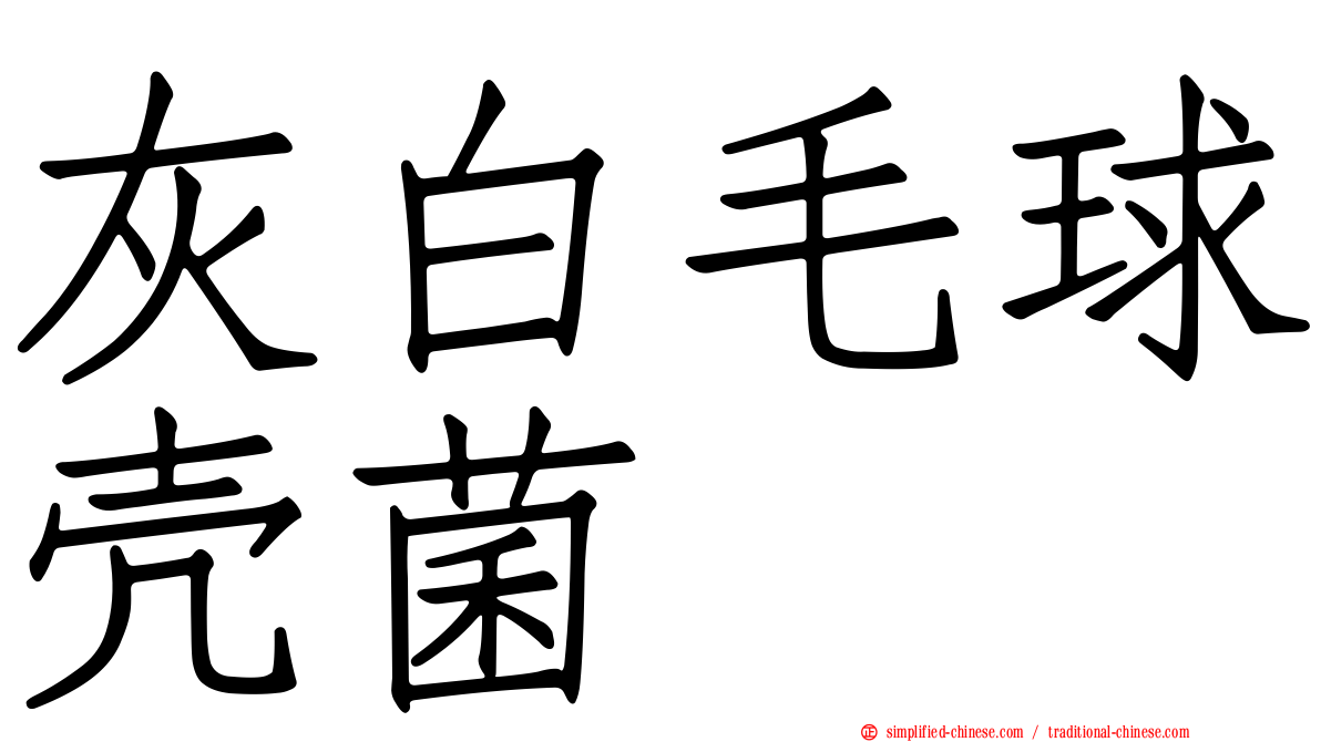 灰白毛球壳菌