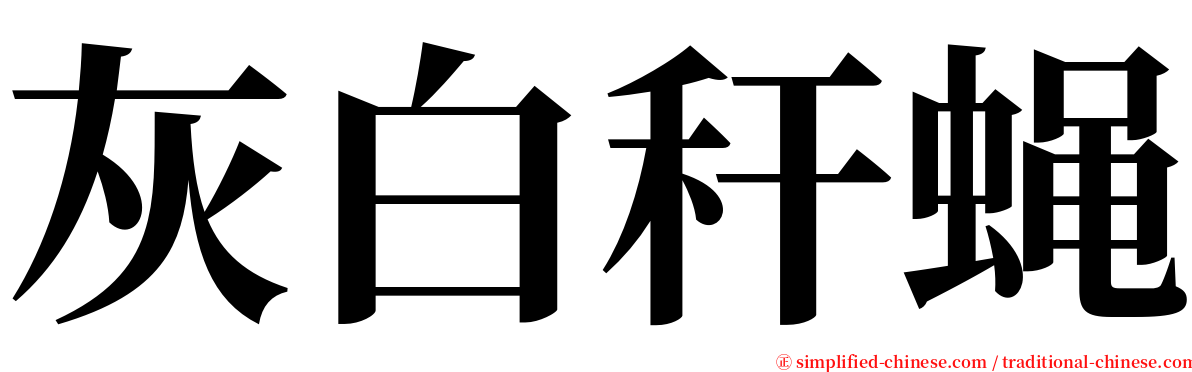 灰白秆蝇 serif font