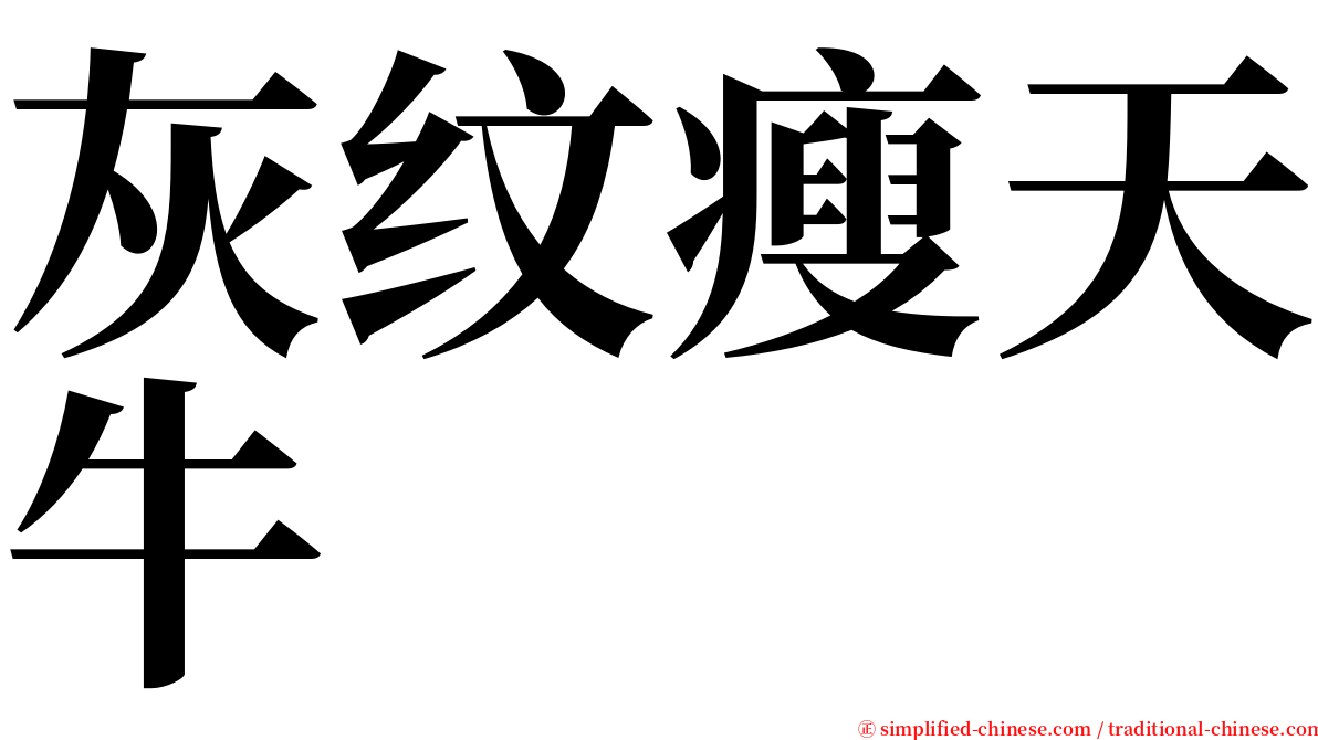 灰纹瘦天牛 serif font