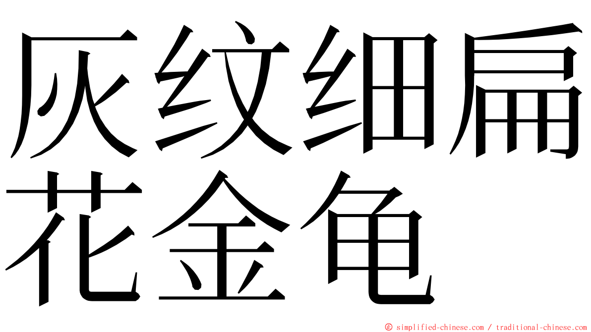 灰纹细扁花金龟 ming font