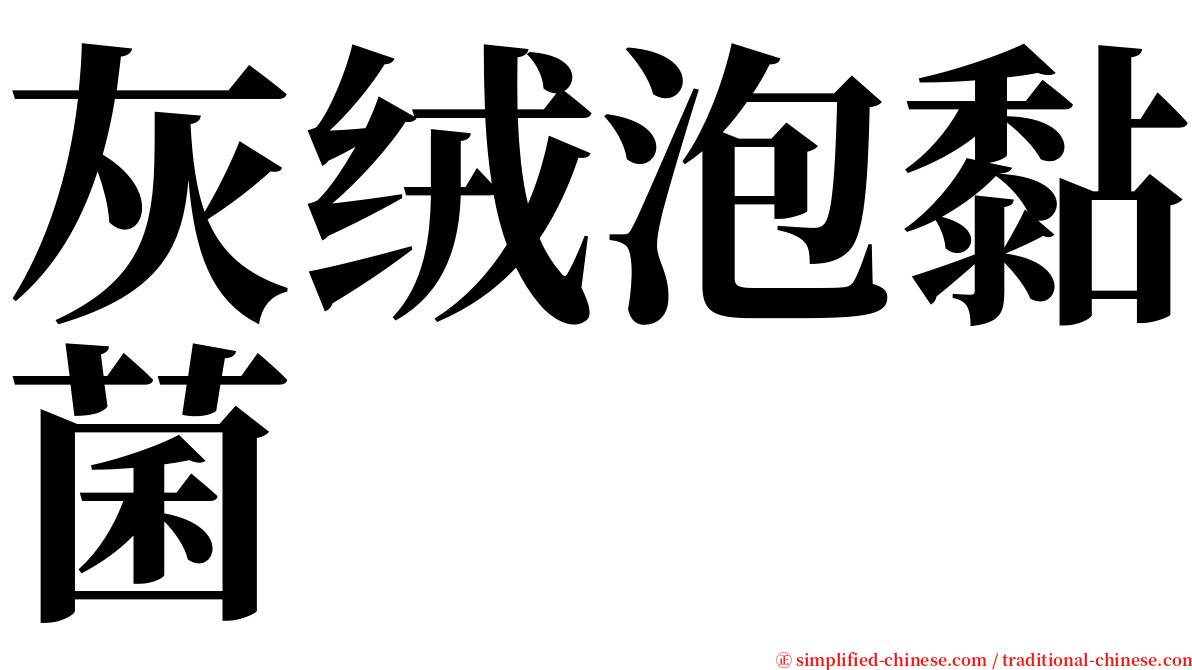 灰绒泡黏菌 serif font