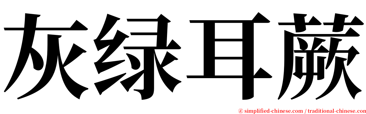 灰绿耳蕨 serif font