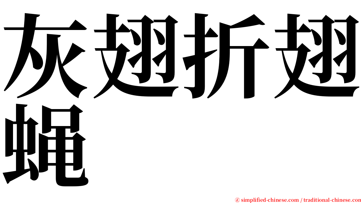 灰翅折翅蝇 serif font