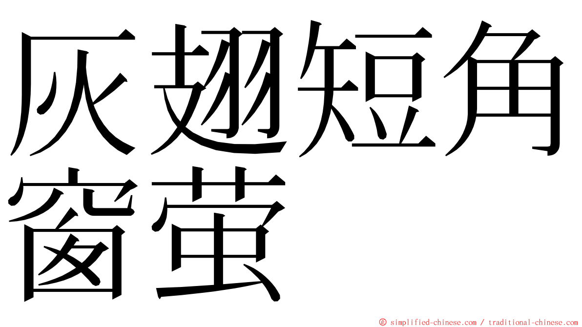 灰翅短角窗萤 ming font