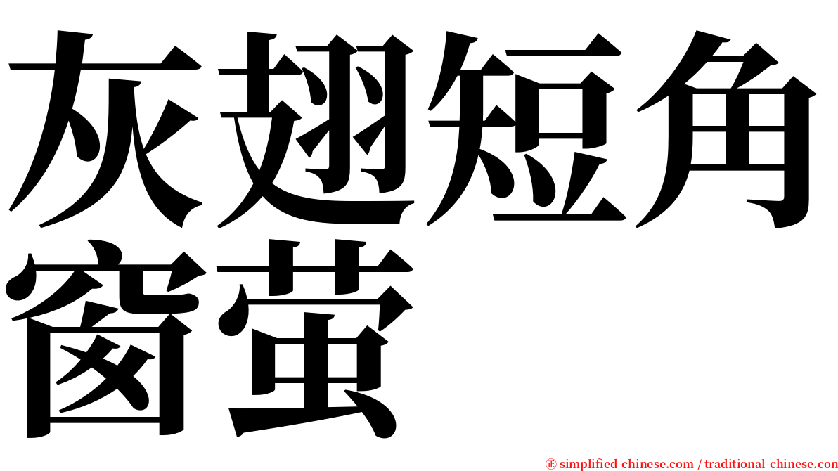 灰翅短角窗萤 serif font