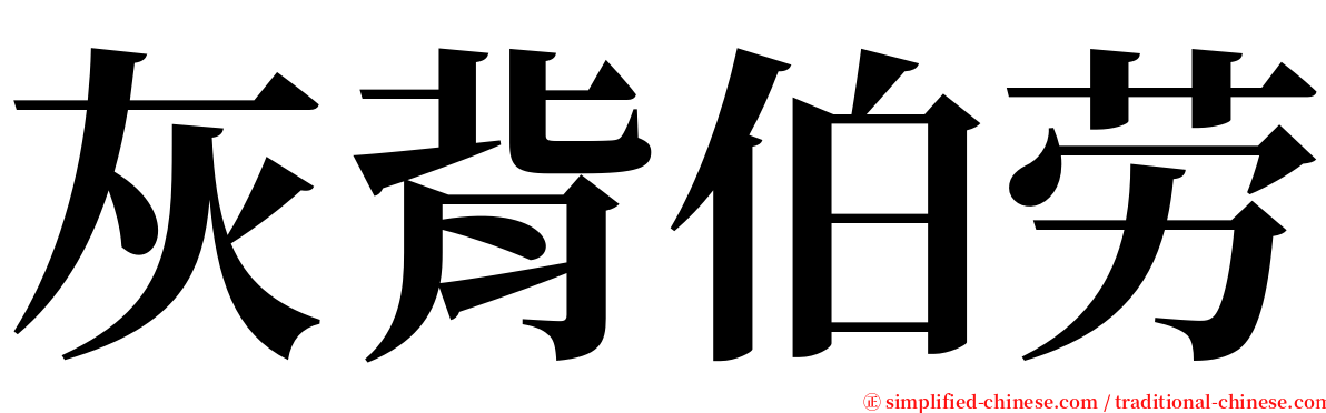 灰背伯劳 serif font