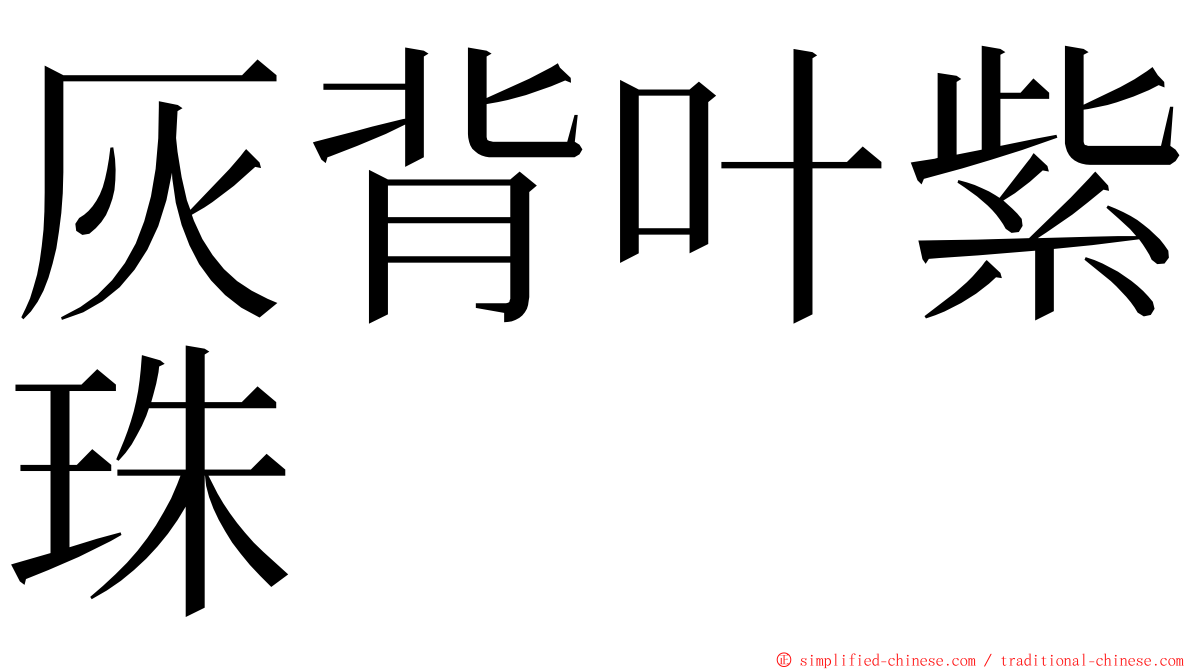 灰背叶紫珠 ming font