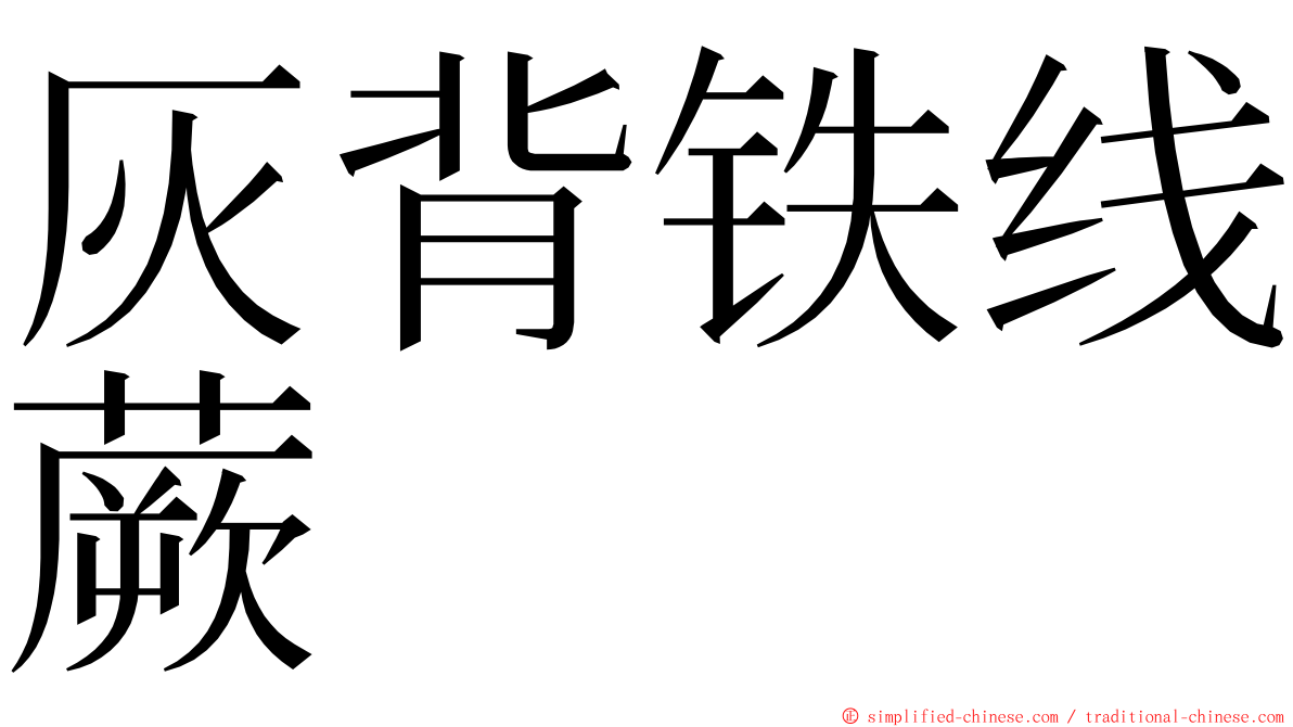 灰背铁线蕨 ming font