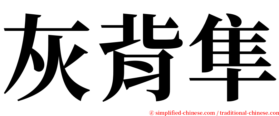 灰背隼 serif font