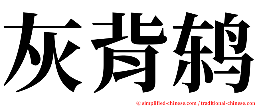 灰背鸫 serif font