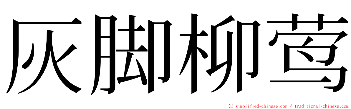 灰脚柳莺 ming font