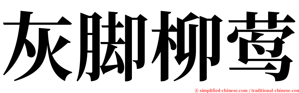 灰脚柳莺 serif font