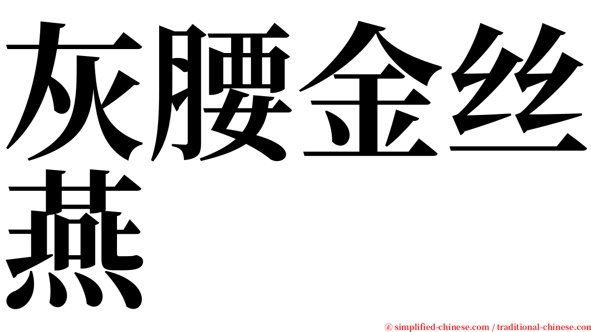 灰腰金丝燕 serif font