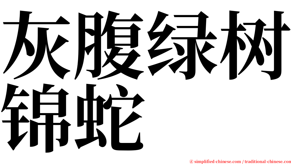 灰腹绿树锦蛇 serif font