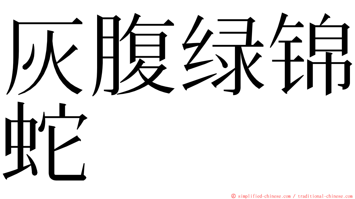 灰腹绿锦蛇 ming font