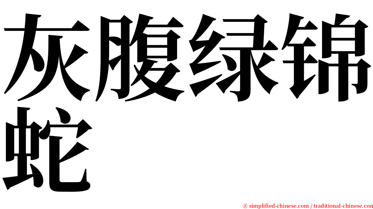 灰腹绿锦蛇 serif font