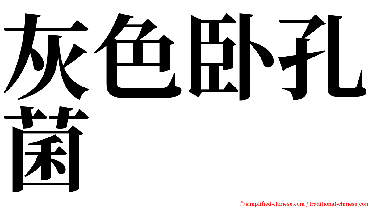 灰色卧孔菌 serif font