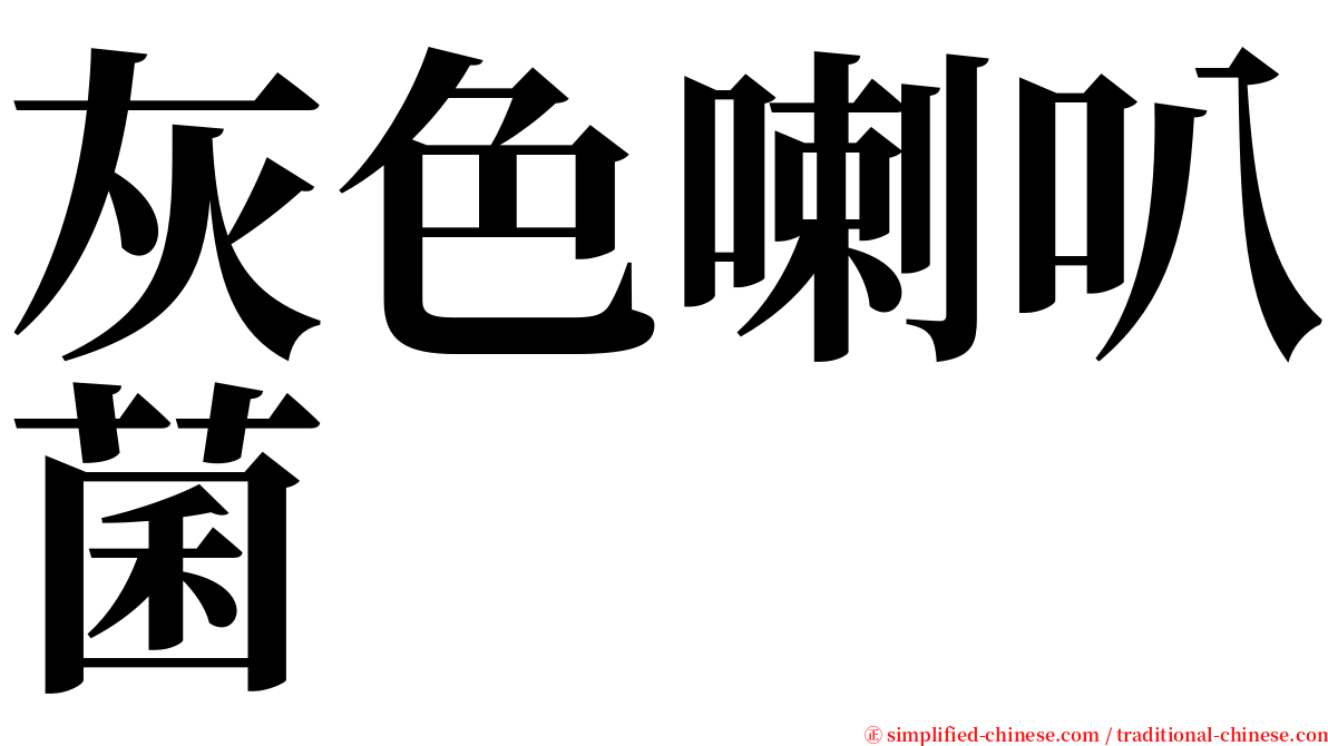 灰色喇叭菌 serif font